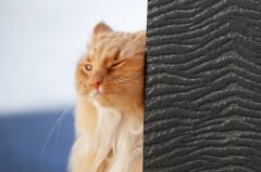 Tink 3D Kendinden Yapışkanlı Akustik Keçe Panel Duvar Kağıdı Desenli 52x97 cm 2 Adet (1 m²) - Koyu Gri