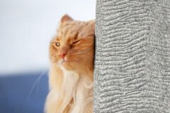 Tink 3D Kendinden Yapışkanlı Akustik Keçe Panel Duvar Kağıdı Desenli 52x97 cm 2 Adet (1 m²) - AÇIK GRİ