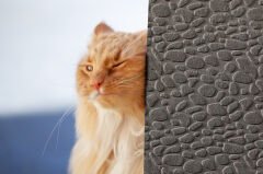 Tink 3D Kendinden Yapışkanlı Akustik Keçe Panel Leopar Desenli 52x97 cm Koyu Gri - 2 Adet (1 m²)