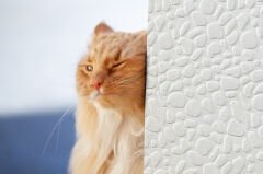 Tink 3D Kendinden Yapışkanlı Akustik Keçe Panel Leopar Desenli 52x97 cm Beyaz - 10 Adet (5 m²)