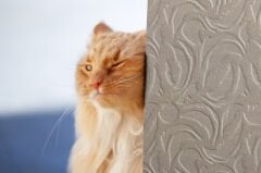 Tink 3D Kendinden Yapışkanlı Akustik Keçe Panel Modern Desenli 52x97 cm 10 Adet (5 m²) - Ekru