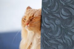 Tink 3D Kendinden Yapışkanlı Akustik Keçe Panel Modern Desenli 52x97 cm 2 Adet (1 m²) - Koyu Gri