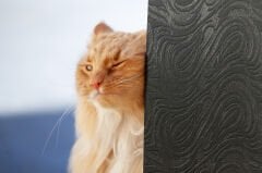 Tink 3D Kendinden Yapışkanlı Akustik Keçe Panel Dalgalı Desenli 52x97 cm Koyu Gri - 2 Adet (1 m²)