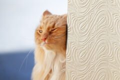 Tink 3D Kendinden Yapışkanlı Akustik Keçe Panel Dalgalı Desenli 52x97 cm Ekru - 10 Adet (5 m²)