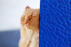 Tink 3D Kendinden Yapışkanlı Akustik Keçe Panel Leopar Desenli 52x97 cm 10 Adet (5 m²) - Mavi
