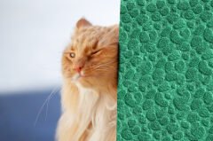 Tink 3D Kendinden Yapışkanlı Akustik Keçe Panel Leopar Desenli 52x97 cm 2 Adet (1 m²) - Yeşil