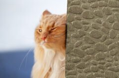 Tink 3D Kendinden Yapışkanlı Akustik Keçe Panel Leopar Desenli 52x97 cm 10 Adet (5 m²) - Devetüyü