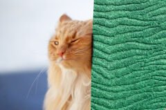 Tink 3D Kendinden Yapışkanlı Akustik Keçe Panel Duvar Kağıdı Desenli 52x97 cm 10 Adet (5 m²) - YEŞİL