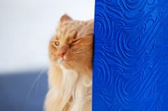 Tink 3D Kendinden Yapışkanlı Akustik Keçe Panel Dalgalı Desenli 52x97 cm 2 Adet (1 m²) - Mavi